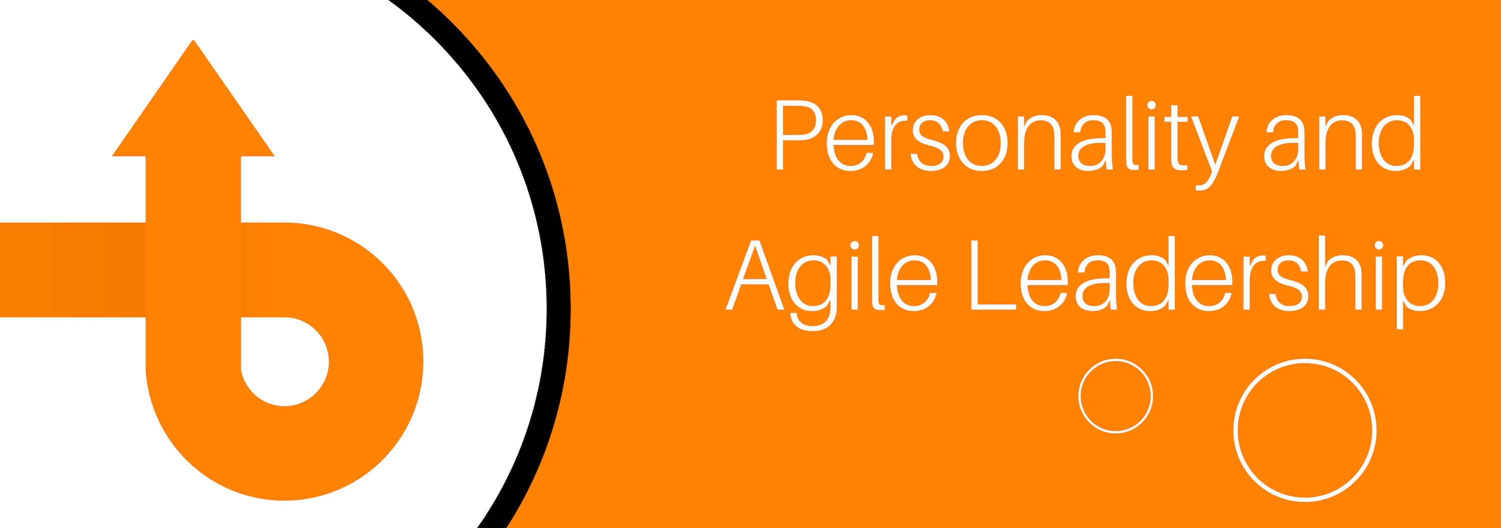 Personality and Agile Leadership
