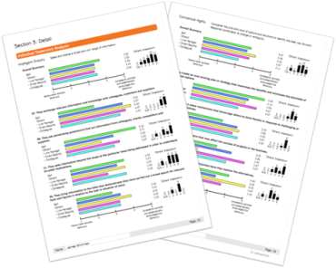 Sample Report pages