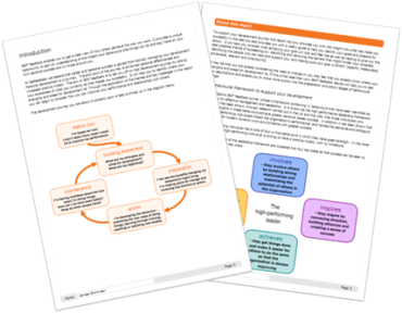 Sample Report pages