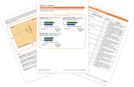 Sample Report pages