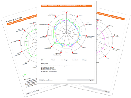 Sample Report pages