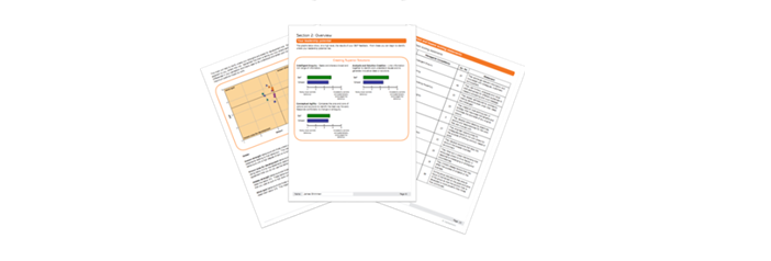 Sample Report