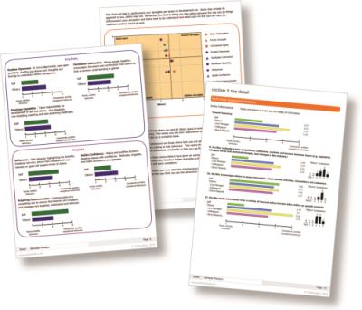 360 Degree Feedback Report