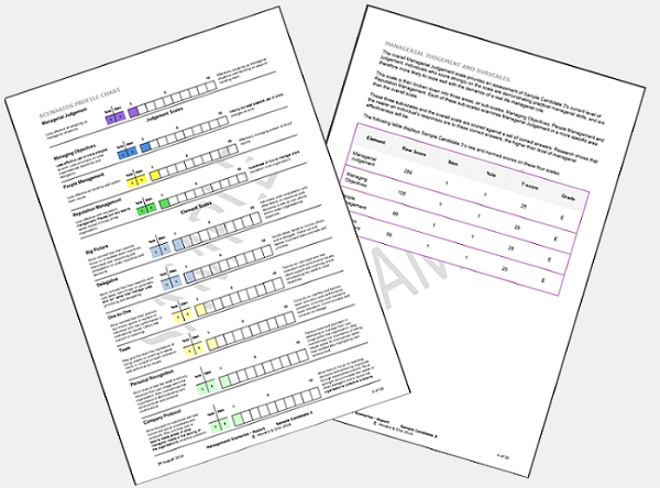 MSA Sample Report
