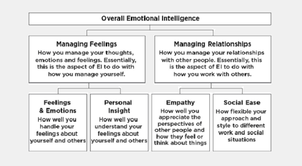 Emotional Intelligence