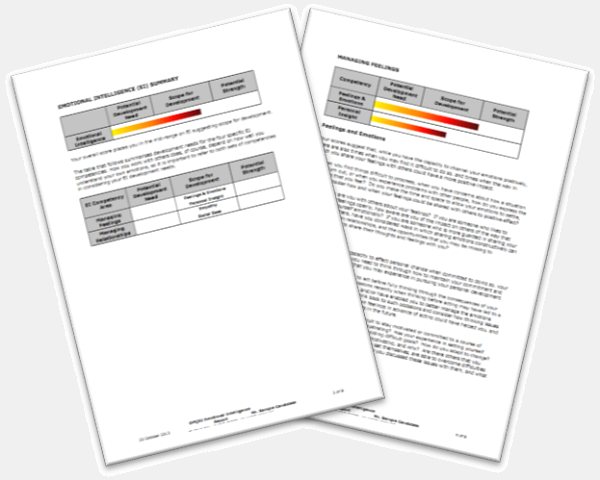 Emotional Intelligence Report